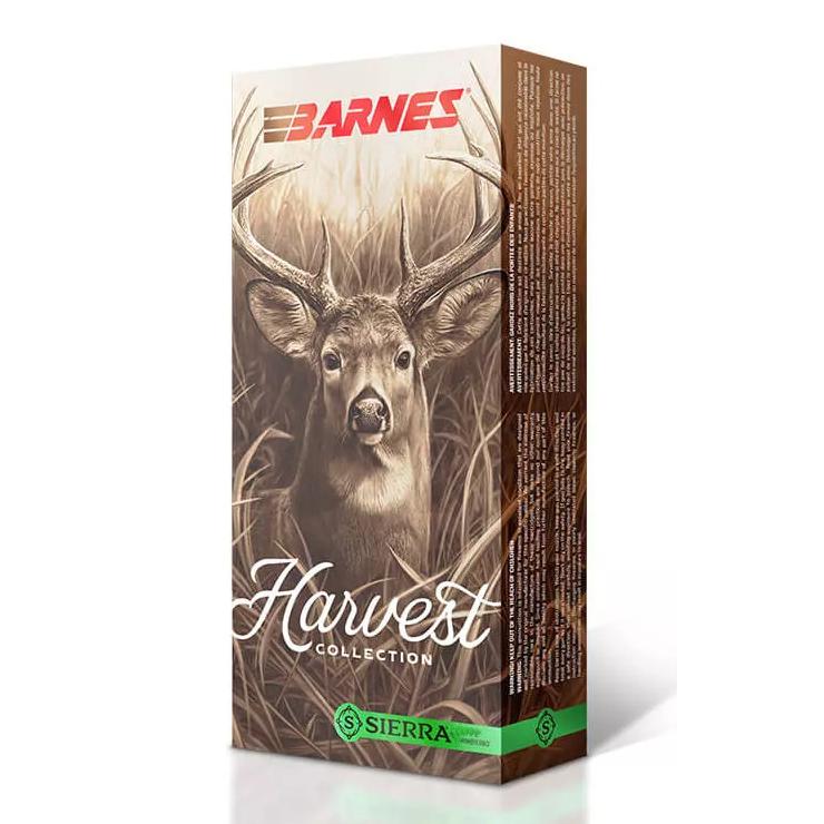 Barnes .450 Bushmaster 260gr – 20rd